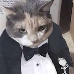 Meet your Posher, Matthew